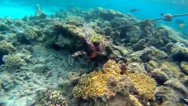 Arabia Azur Beach Hurghada Egypte