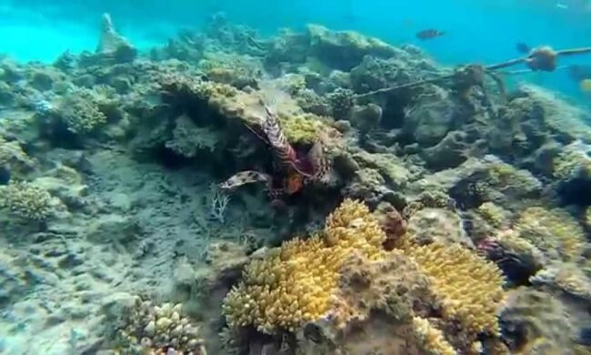 Arabia Azur Beach Hurghada Egypte