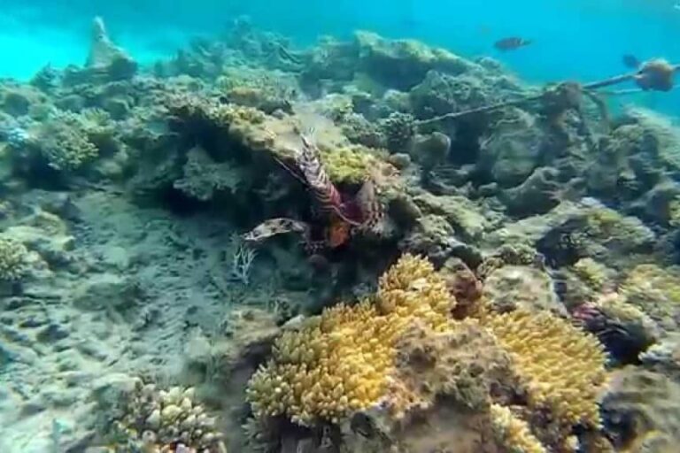 Arabia Azur Beach Hurghada Egypte