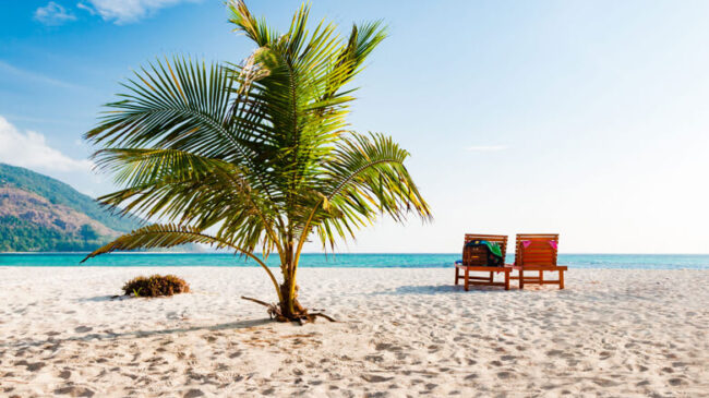 wtc-transavia wtc-transavia