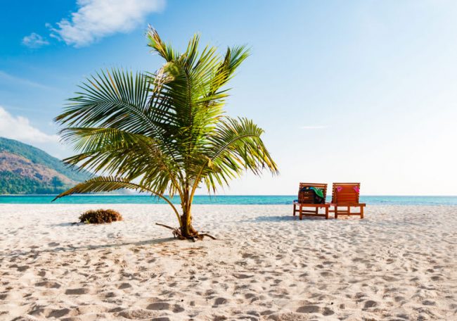 wtc-transavia wtc-transavia