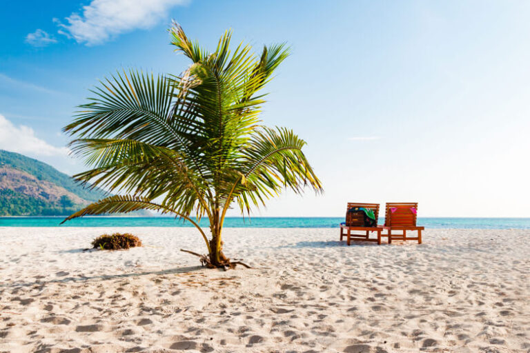 wtc-transavia wtc-transavia