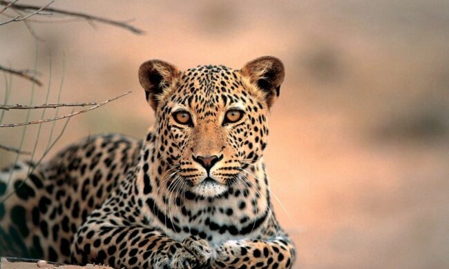 Rondreis Grand Tour South Africa