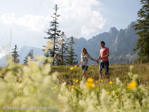 Dagaanbieding - Oostenrijk voor 85.00