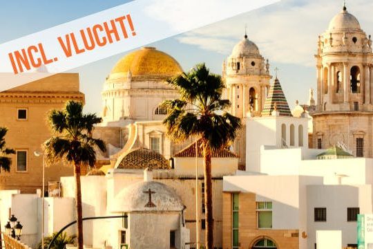 Dagaanbieding Authentiek Zuid-Spanje -