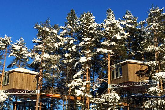 Dagaanbieding Bird's Nest in Zweden -  Zweden