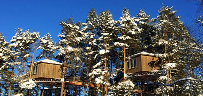 Dagaanbieding Bird's Nest in Zweden -  Zweden