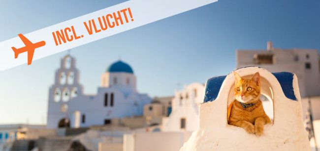 Dagaanbieding Kreta & Santorini -  Griekenland