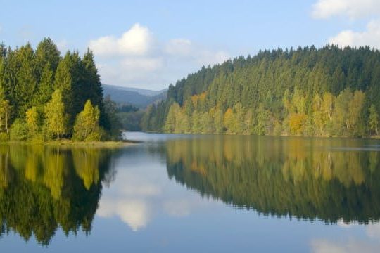 Dagaanbieding Vakantiepark Duitse Harz - Wernigerode Duitsland