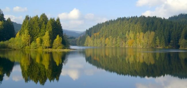 Dagaanbieding Vakantiepark Duitse Harz - Wernigerode Duitsland