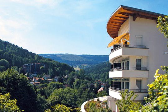 Dagaanbieding Wellness Zwarte Woud - Bad Herrenalb Duitsland