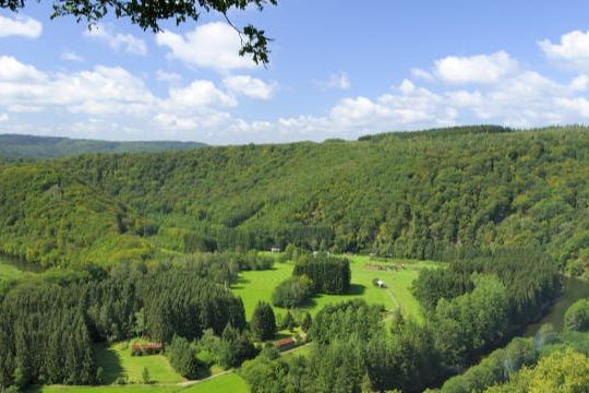Dagaanbieding Bed & breakfast Ardennen - Libin België