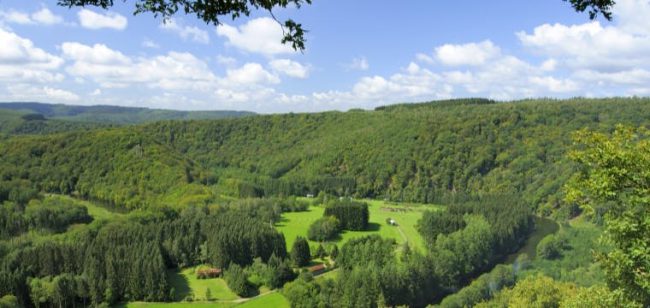 Dagaanbieding Bed & breakfast Ardennen - Libin België