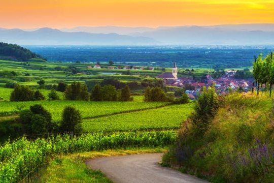 Dagaanbieding Het Duitse Odenwald - Rothenberg Duitsland