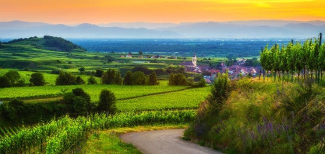 Dagaanbieding Het Duitse Odenwald - Rothenberg Duitsland