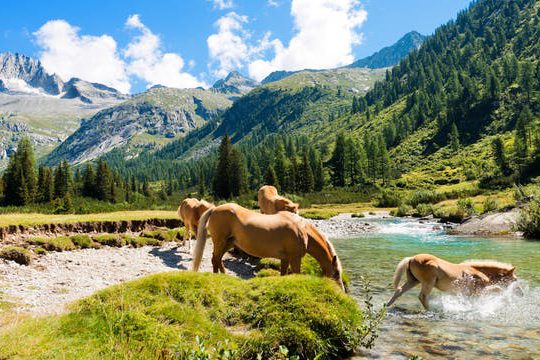 Dagaanbieding Rondreis Trentino - San Valentino Alla Muta Italië