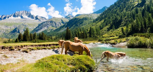 Dagaanbieding Rondreis Trentino - San Valentino Alla Muta Italië