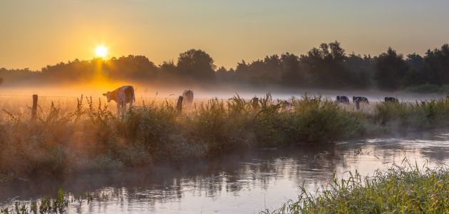 Dagaanbieding 3 dagen Borne in hartje Twente en nabij Enschede incl. 3-gangendiner en fietshuur