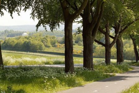 Dagaanbieding 3 dagen genieten nabij Nijmegen incl. ontbijt en gebruik van de wellnessfaciliteiten