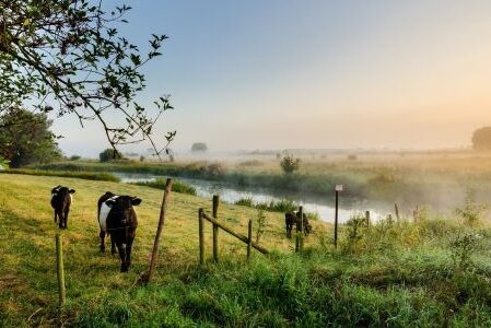 Dagaanbieding 3 of 4 dagen top beoordeeld hotel in landelijk Twente incl. diner