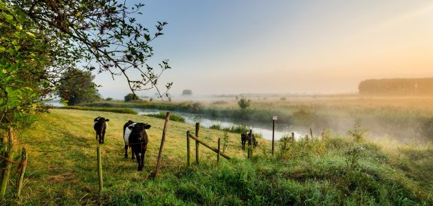 Dagaanbieding 3 of 4 dagen top beoordeeld hotel in landelijk Twente incl. diner