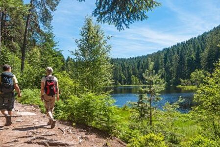 Dagaanbieding 5 of 8 dagen 4*-hotel in het Zwarte Woud o.b.v. halfpension