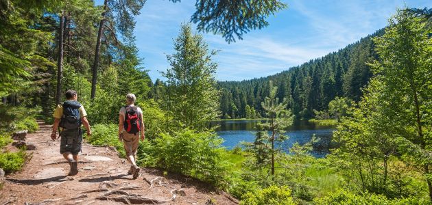 Dagaanbieding 5 of 8 dagen 4*-hotel in het Zwarte Woud o.b.v. halfpension