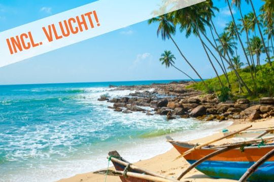 Dagaanbieding De schatten van Sri Lanka -
