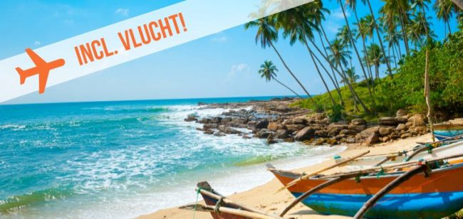 Dagaanbieding De schatten van Sri Lanka Dagaanbieding De schatten van Sri Lanka -