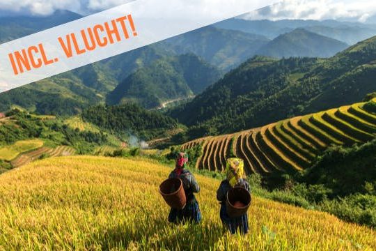 Dagaanbieding Het beste van Vietnam -
