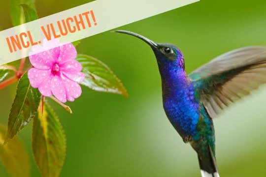 Dagaanbieding Highlights van Costa Rica -