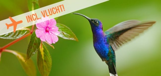 Dagaanbieding Highlights van Costa Rica -
