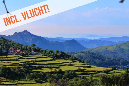 Dagaanbieding Luxe in Noord-Portugal -