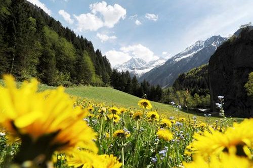 Dagaanbieding - Ontdek de frisse Alpenweides! voor 179.00