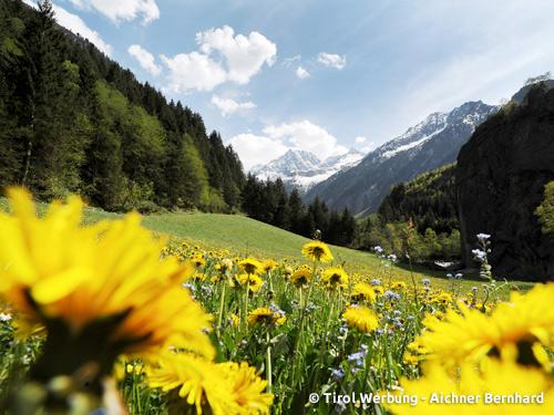 Dagaanbieding - Ontdek de frisse Alpenweides! voor 179.00