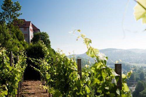 Dagaanbieding - Ontdek historie in Thüringen voor 45.00