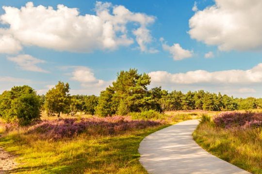 Dagaanbieding Ontspannen bij de Veluwe - Arnhem Nederland