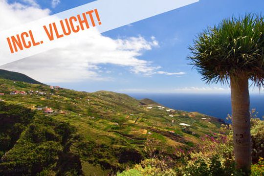 Dagaanbieding Rondtoeren op La Palma - Islas Canarias Spanje