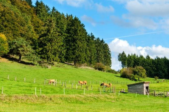 Dagaanbieding Schitterend Sauerland - Schmallenberg Duitsland