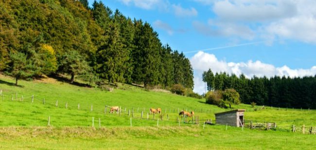 Dagaanbieding Schitterend Sauerland - Schmallenberg Duitsland