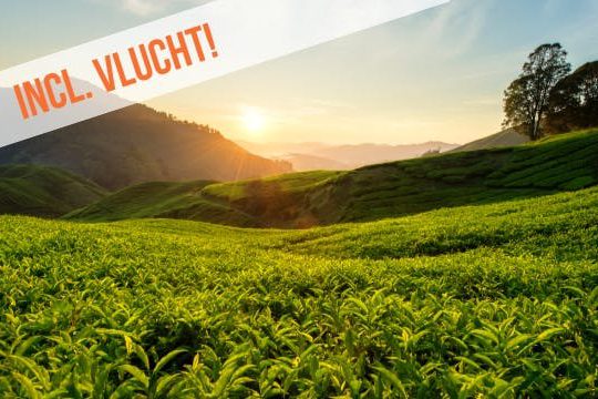 Dagaanbieding Sri Lanka & Malediven -