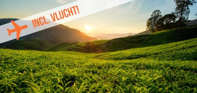 Dagaanbieding Sri Lanka & Malediven -