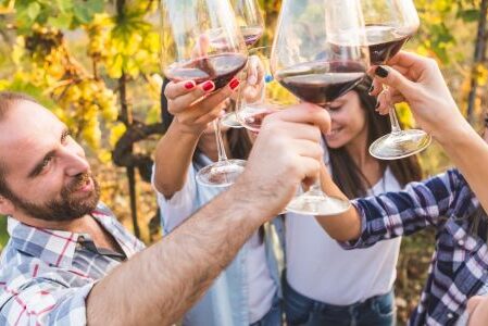 Dagaanbieding 2 of 3 dagen Van der Valk Hotel in Noord-Brabant incl. ontbijt en wijnproeverij