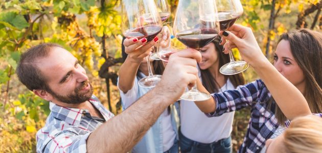 Dagaanbieding 2 of 3 dagen Van der Valk Hotel in Noord-Brabant incl. ontbijt en wijnproeverij