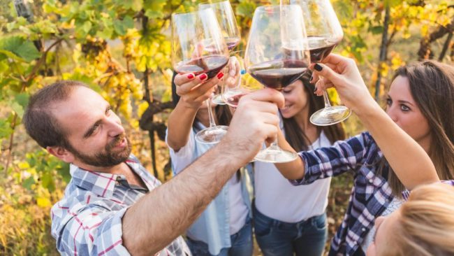 Dagaanbieding 2 of 3 dagen Van der Valk Hotel in <b>Noord-Brabant</b> incl. ontbijt en wijnproeverij