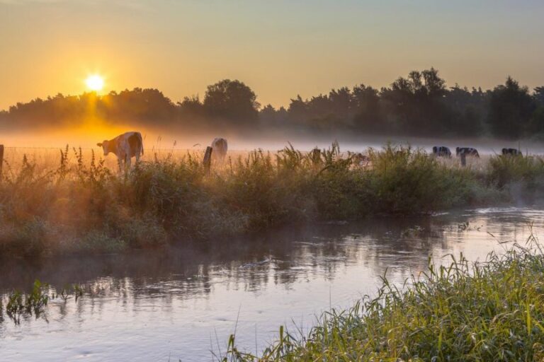 Dagaanbieding 3 dagen <b>Borne</b> in hartje <b>Twente</b> en nabij <b>Enschede</b> incl. 3-gangendiner en fietshuur