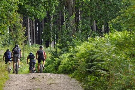 Dagaanbieding 3 dagen in de Belgische Ardennen o.b.v halfpension