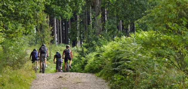 Dagaanbieding 3 dagen in de Belgische Ardennen o.b.v halfpension