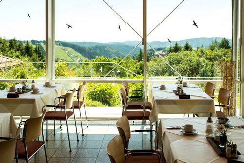 Dagaanbieding - Actief in de Duits Harz voor 109.00