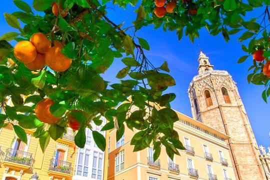 Dagaanbieding Boetiekhotel in Valencia - València Spanje